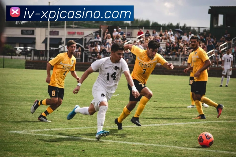 新葡京娱乐品牌故事