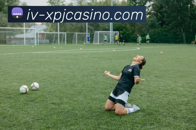 新葡京娱乐服务体系